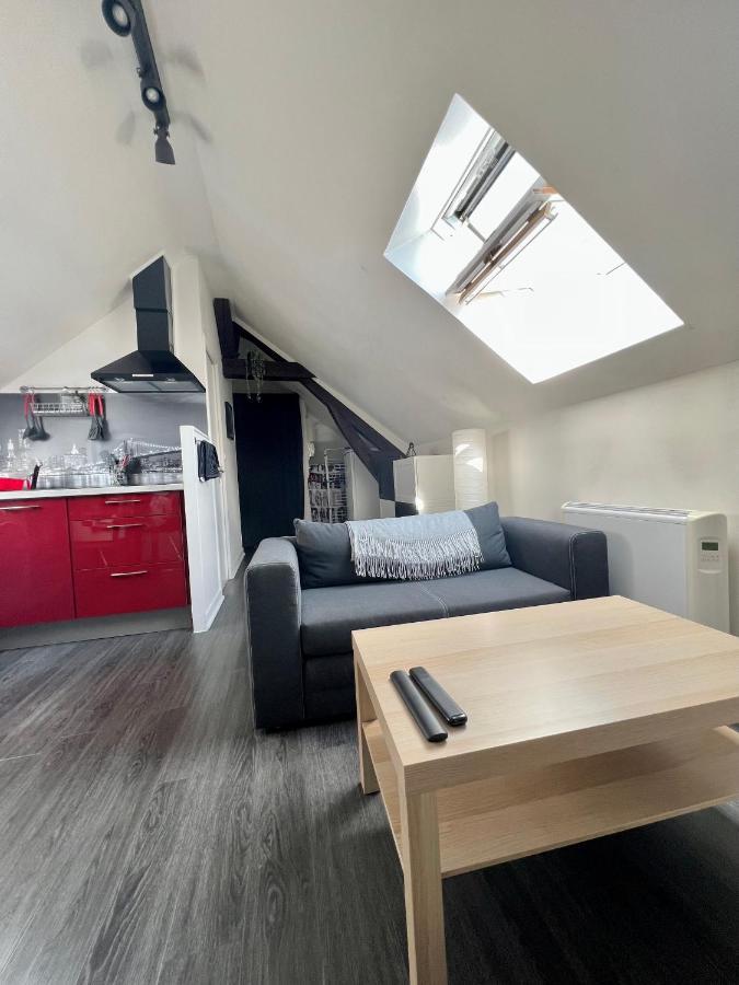 Bel Appartement Lumineux 35M2, Bord De Loire Saint-Jean-le-Blanc Exterior photo
