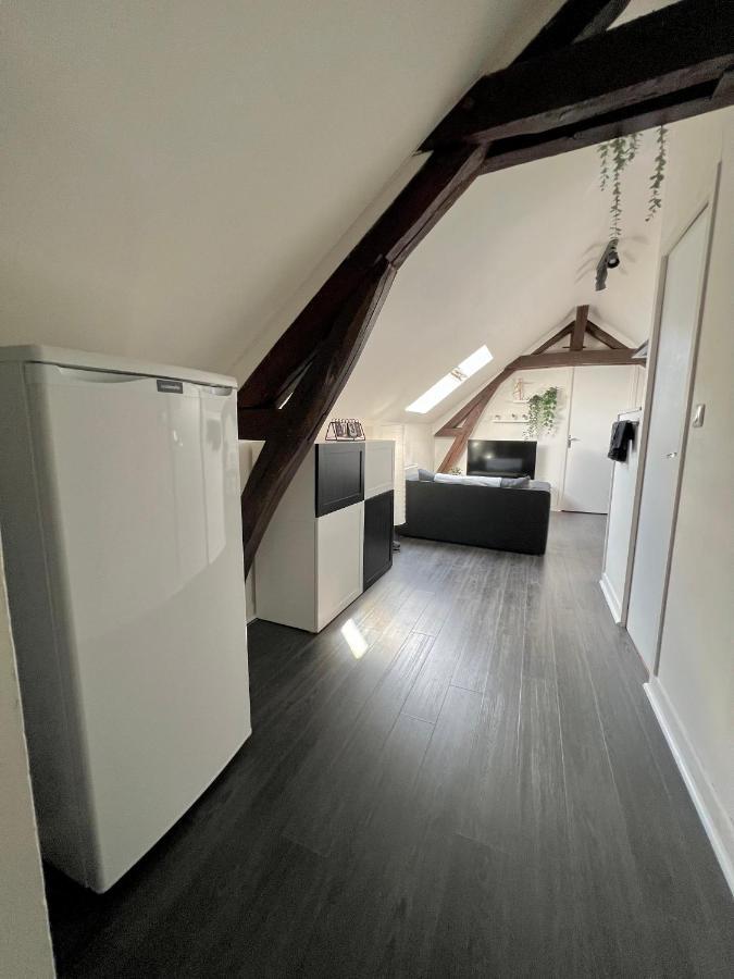 Bel Appartement Lumineux 35M2, Bord De Loire Saint-Jean-le-Blanc Exterior photo
