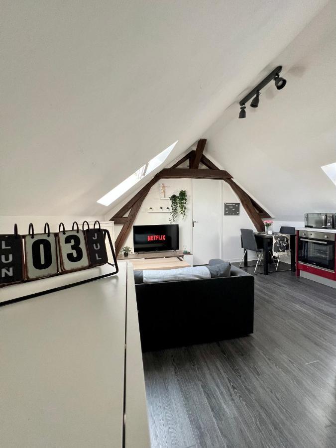Bel Appartement Lumineux 35M2, Bord De Loire Saint-Jean-le-Blanc Exterior photo