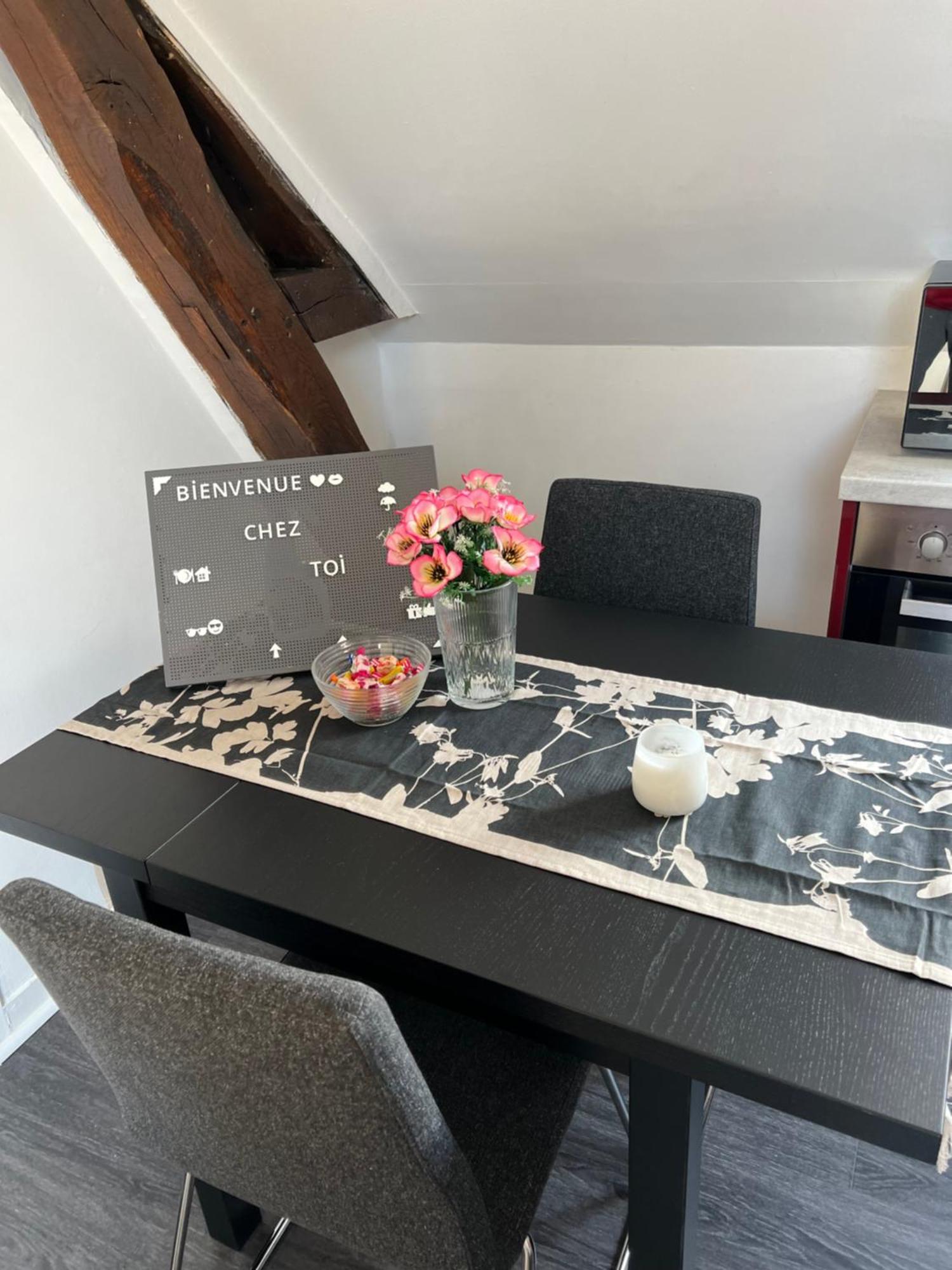 Bel Appartement Lumineux 35M2, Bord De Loire Saint-Jean-le-Blanc Exterior photo